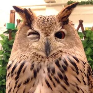 Meet your Posher, Fernanda